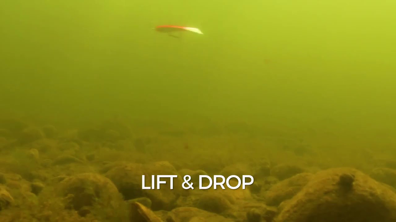 Swimming Action Rapala Snap Rap