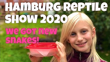 Hamburg Reptile Show 2020 - We Got New Snakes! And an update on Fearless Fred