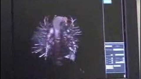 Cell BE Demonstration Japanese