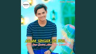 Aslam Singer SR 8725