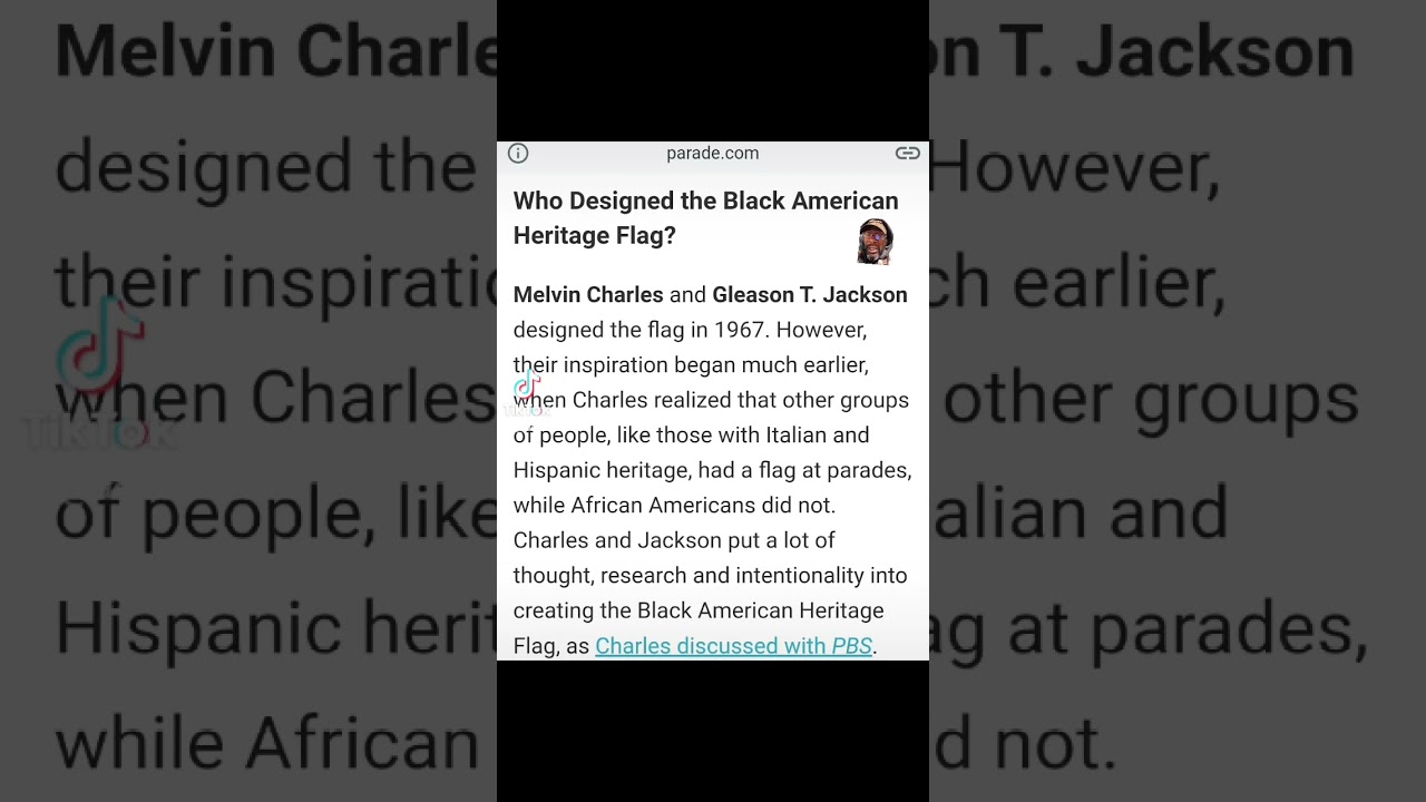 ⁣The Black American Heritage Flag explained. #fba #blackamerican #shorts #acabdevil #legacy