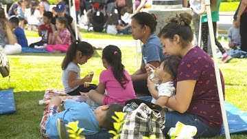 Seamless Summer Lunch Program