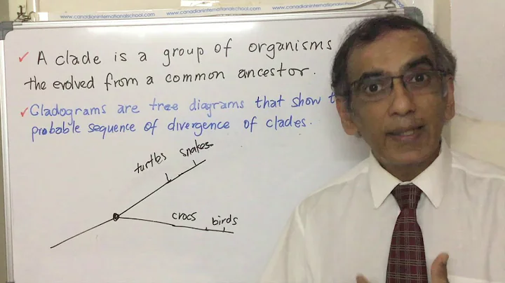 IB Biology 5.4-Cladistics