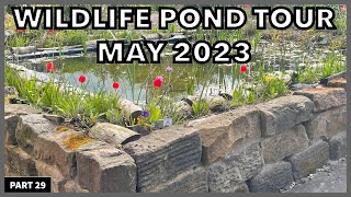 How To Build a Wildlife Pond - Here’s What Happend With The pond in May #ponds