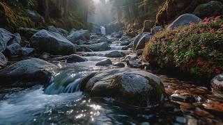 Calming & Relaxing Forest Ambience: Water Sounds & Birds Singing