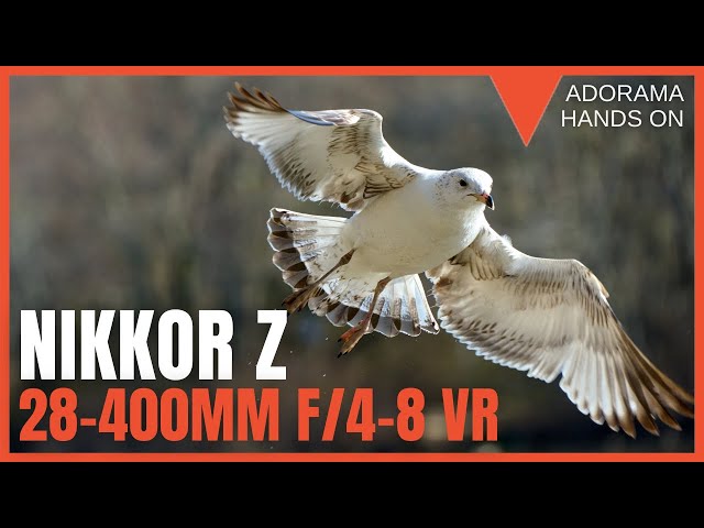 Nikon NIKKOR Z 28-400mm f/4-8 VR Lens | A Walk Around Zoom For Any Creator class=