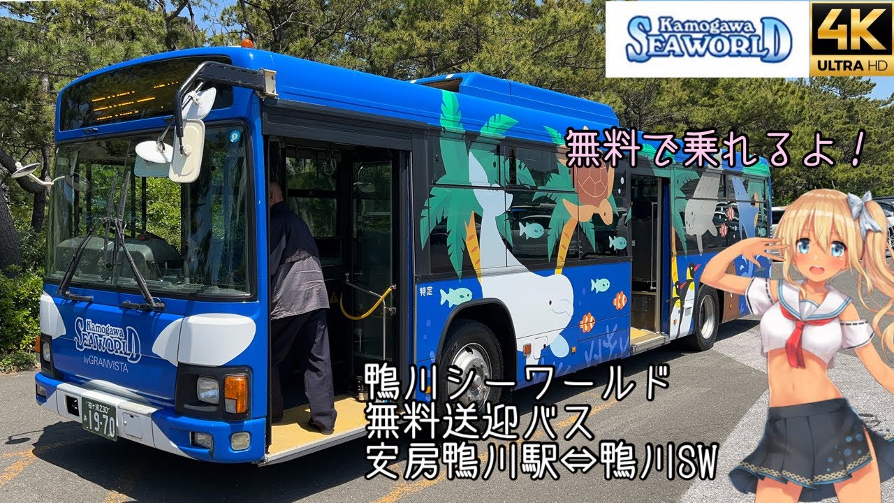 [前面側面]鴨川シーワールド無料シャトルバス 安房鴨川駅⇔鴨川シーワールド 往復