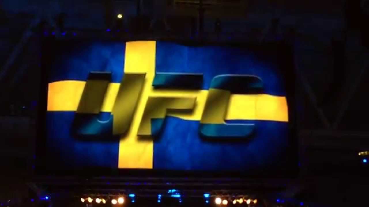 Alexander Gustafsson entrance at UFC Fight Night Gustafsson vs Johnson