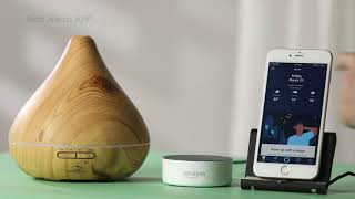 Alexa Binding Tuya Smart App This Connection Is Suitable For All Gx.diffuser Smart Diffuser Models