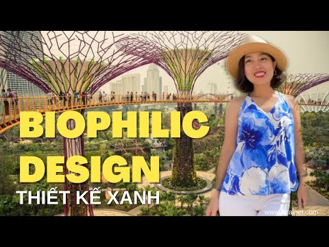 Video: Biophilia là gì - Thông tin về tác dụng sinh học của thực vật