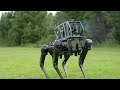 CODiAQ – The First Weaponized Robot Dog Unleashed | AI Combat Power of the Future