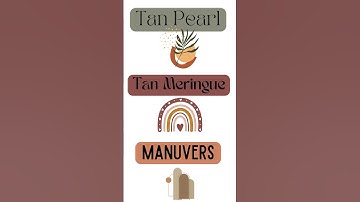 Canva Boho Fonts and Element #canva #canvatutorial #canvatips #canvapro #tutorial #graphicdesigntips