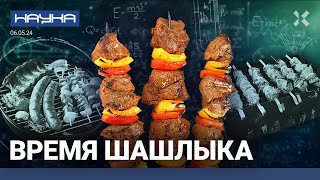 Как И На Чем Жарить Шашлык? А Маринад Какой? Баранина Или Свинина? Зачем Нужны Шампуры | Наука