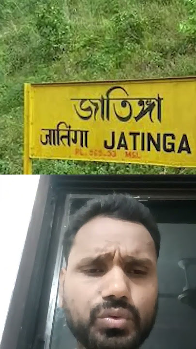 OMG 😱 Birds suicide awara dogs #birds #horror #stockmarket #trending #shortsfeed #shortvideo #nature
