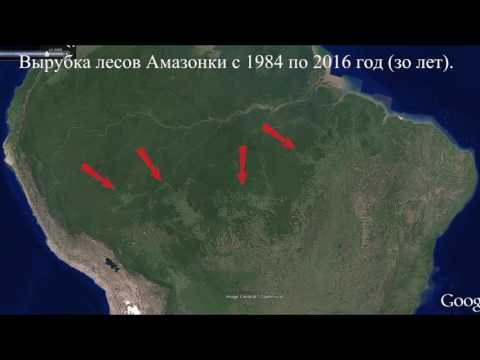 Вырубка лесов Амазонки за 30 лет.