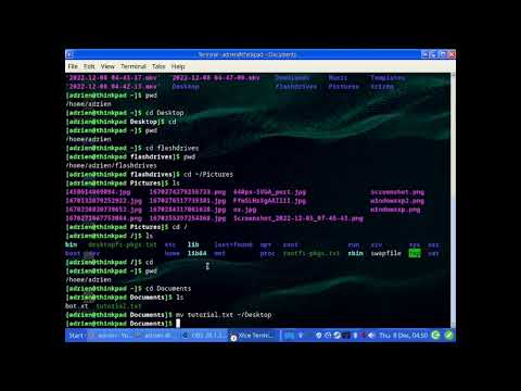 some basic linux commands in Manjaro Linux