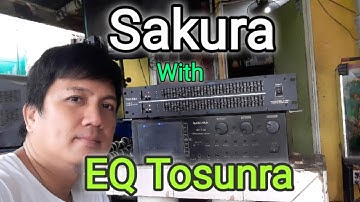 Sakura 735 With Tosunra EQ 231 Setup
