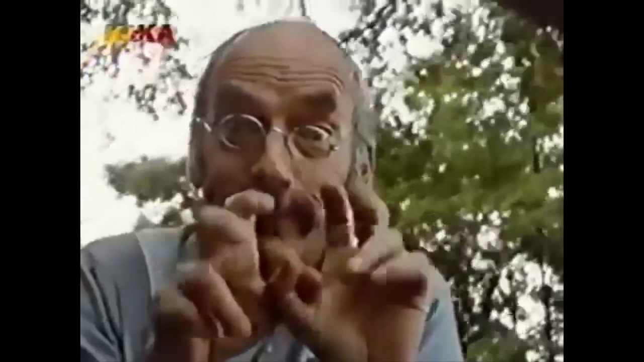 The Best of The best of Youtube-Kacke: Peter Lustig