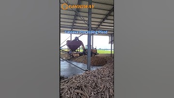 Thumbnail of Cassava Processing Plant