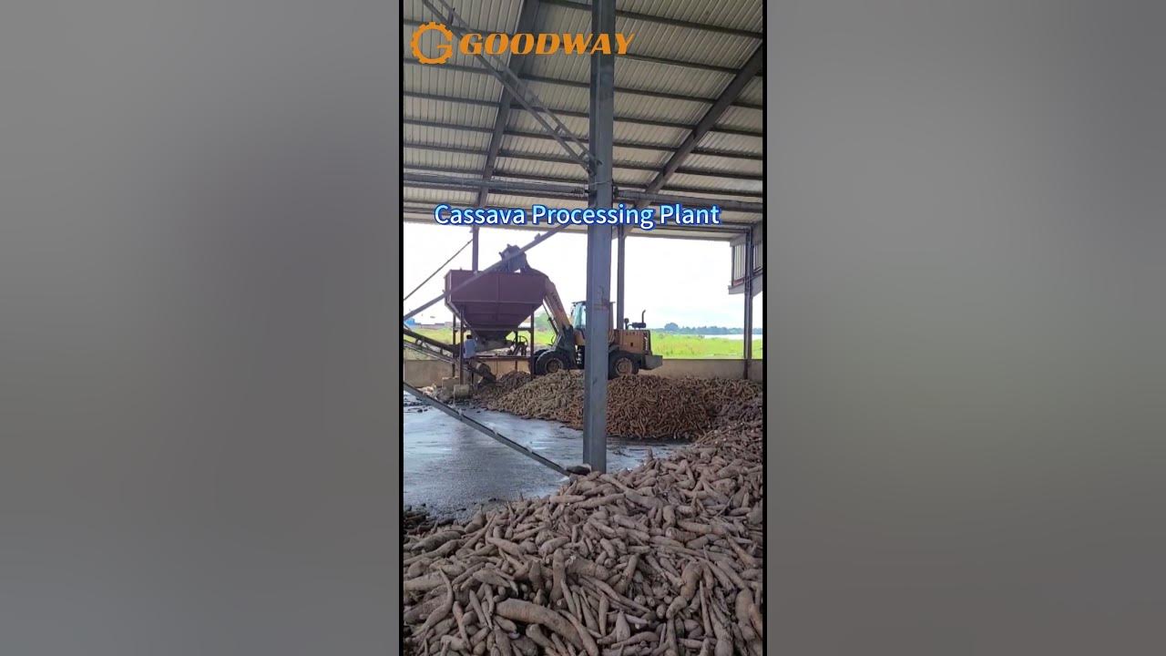 Cassava Processing Plant