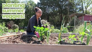 Planting Summer Veggies in Community Garden | Zone 8 Garden @NaturallyMermaid