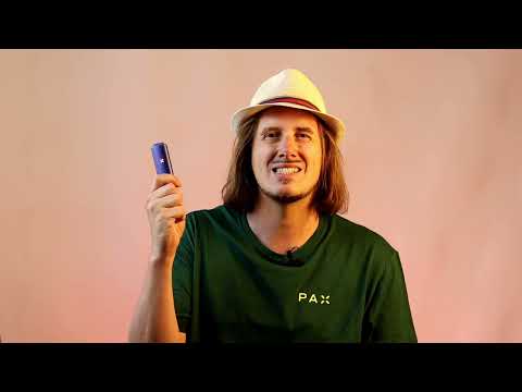 PAX Plus Review 2023 