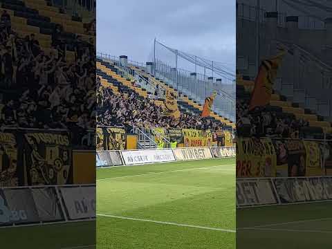 The fans of