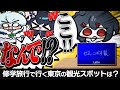 誰でも答えれるはずなのに・・・Latteがまるで当たり前かのように答える意味不明な回答とは・・・【一致するまで終われまテン】【めめらてこぱす】