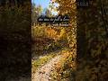Russian nature in October 🧡 Get connected in other social media. All links in bio #russianlanguage