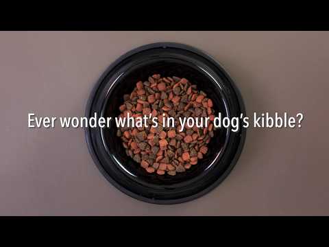 Ever Wonder What's In Your Dog's Kibble | Introducing Whole Food Clusters Dry Dog Food