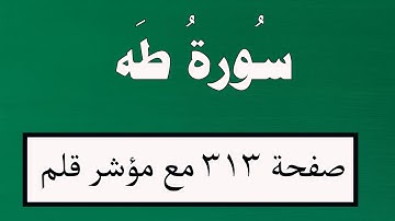 سورة طه صفحة 313 مع مؤشر قلم