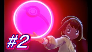 【ポケットモンスターソード/シールド】ワイルド・エリア【攻略実況：２】