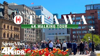 Ottawa Canada 🇨🇦 Spring Vibes Saturday May 2024 Walking Tour in {4K Ultra HD HDR 60 fps}