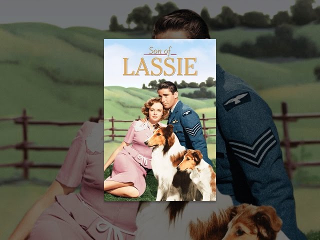 Son of Lassie Movie Poster (11 x 17) - Item # MOV199481 - Posterazzi