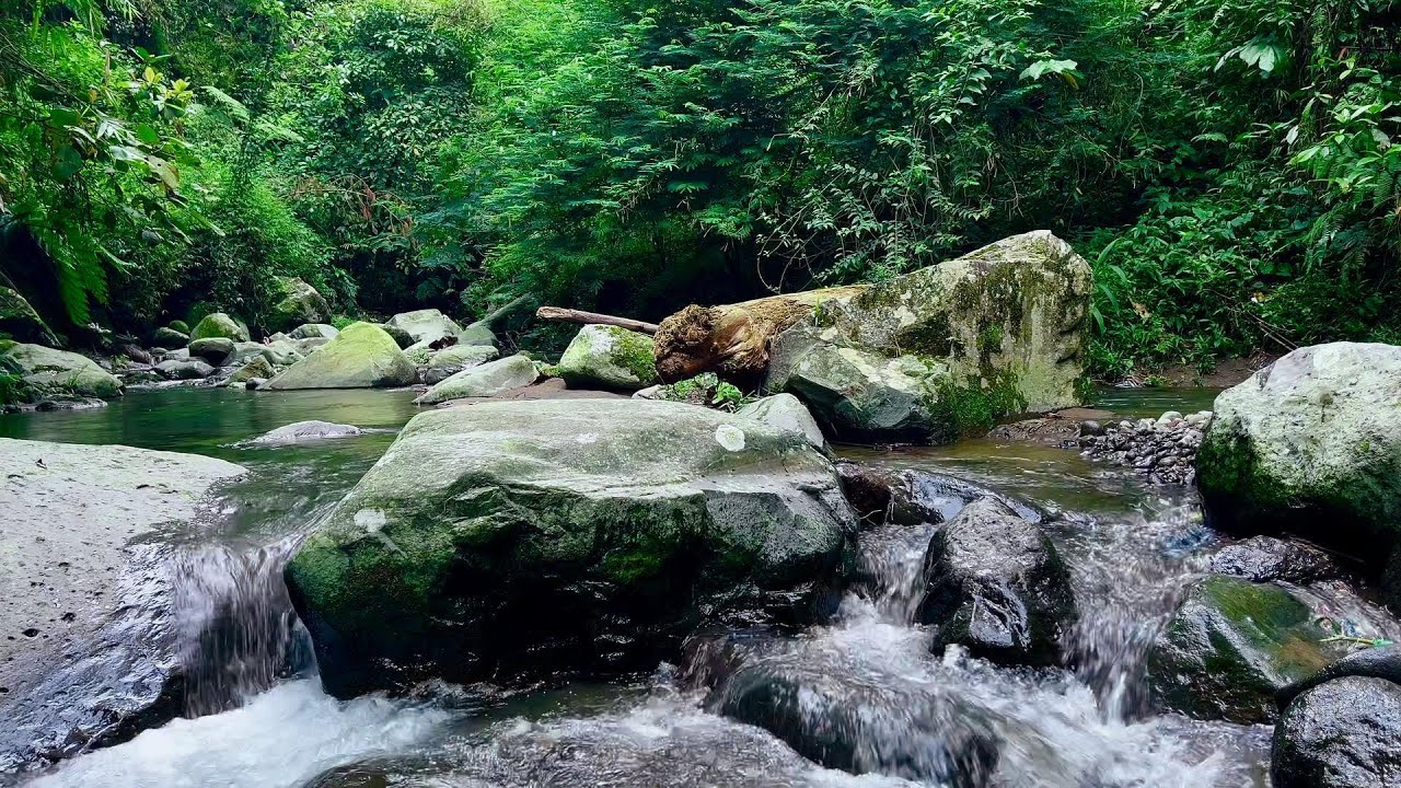 Stream of Stillness - Peaceful Night Vibes | sleep - relax - enjoy life - ASMR