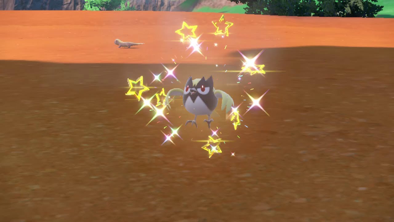 PEV : Minisange (Rookidee) Shiny 4