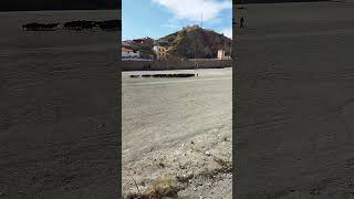 Puerto Lumbreras, rebaño de cabras pastoreado a través de la Rambla de Nogalte