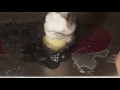 Middle of video