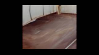 Untitled 2004 Raw T2004