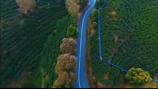 Video Mentahan Keren Terbaru