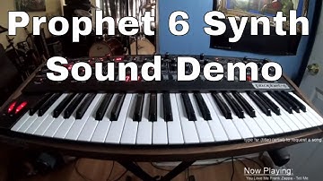 Prophet 6 Jam - Part 4