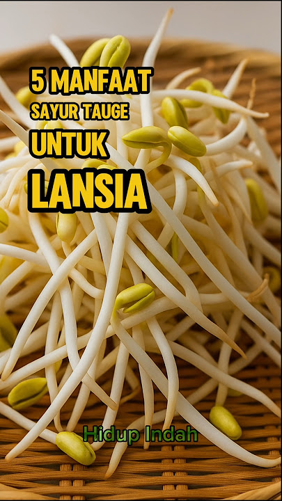 5 Manfaat Sayur Tauge Untuk Lansia