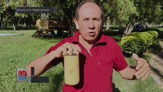 INTA El Colorado - Sumando Campo - Lapacho Canal 11- Programa 02