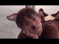 木﨑ネコダイブ