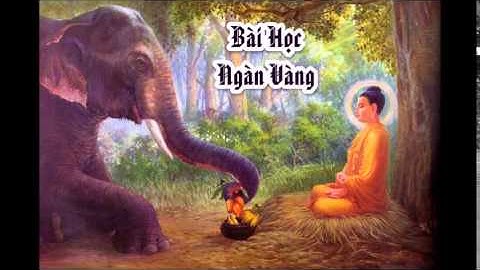 Bài Học Ngàn Vàng - HT Thích Thiện Hoa