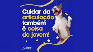 Condroplex 1000mg 60cáps Suplemento Cães E Gatos Condroitina