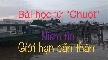 Bài học từ ‘’ CHUỘT”. Niềm tin giới hạn bản thân.  @Toikhongbiet.  Tôi không biết.  Toi khong biet