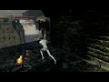 Playing Dark Souls with my friend but its the terrible co-op system