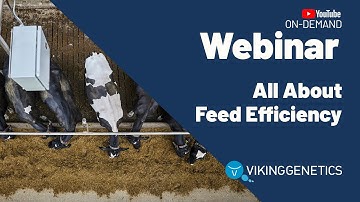 WEBINAR: All About Feed Efficiency