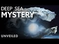 Why the Deepest Parts of the Ocean Remain a Mystery | Unveiled